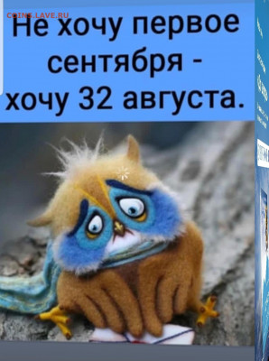 делает - прямо сейчас !!! - Screenshot_20220831-212012_Instagram
