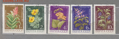 СССР 1972 лекарственные растения 5м до 06 09 - 255