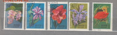 СССР 1971 цветы 5м до 06 09 - 256