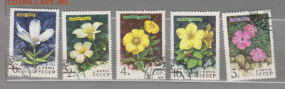 СССР 1977 цветы 5м до 06 09 - 258
