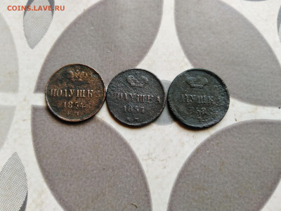 3 полушки 1854, 1857, 1858 до 05.09.2022 - 3-5