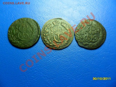 3 катины полушки (км) - SAM_4552.JPG