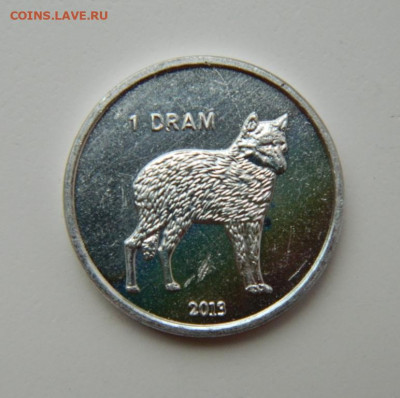 Нагорный Карабах 1 драм 2013 г. (Фауна) до 08.09.22 - DSCN1501.JPG