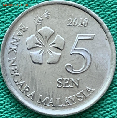 5 сенов 2018 года до 08.09.2022 - E64874F8-64CA-424D-8306-35BF7A5331E6