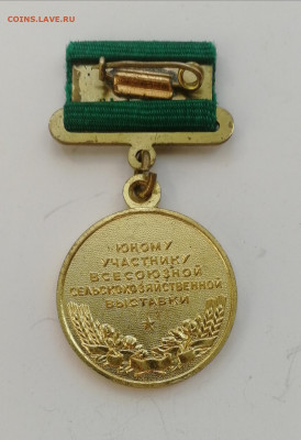 Медаль Юному участнику ВСХВ до 10.09.2022 - IMG_20220904_223026