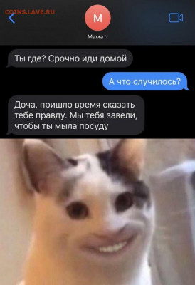 юмор - 17139772