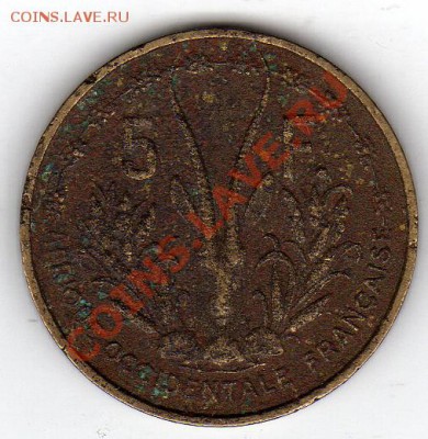 Фр.Зап.Африка 5 франков 1956 до 01.12.11 в 22.00мск (985) - img766