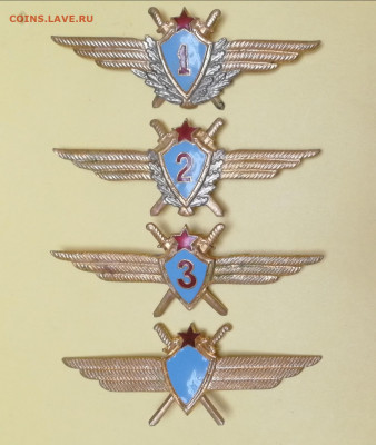 Классности военного летчика, тяжёлые - 4 шт. до 10.09.2022 - IMG_20220902_215023