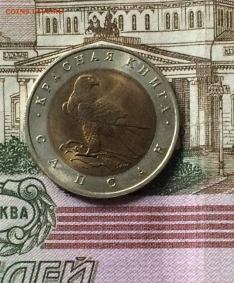 Красная книга 50 рублей 1994 г. Сапсан. до 08.09. - 7