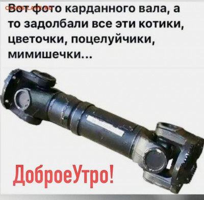 Чатик на самарском - IMG-20220909-WA0000