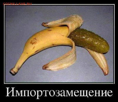 И опять - одним абзацем! - Импортозамещение