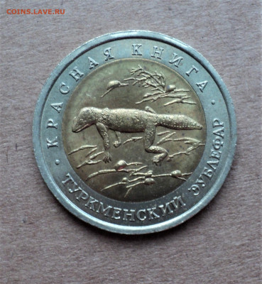 50 рублей 1993г. Туркменский эублефар. до 14.09. - DSC04924.JPG