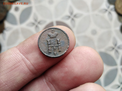 полушка 1851 ем до 12.09.2022 - 1851 (4)
