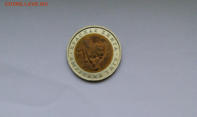 2022 в 22:00 - IMG_20220910_104736