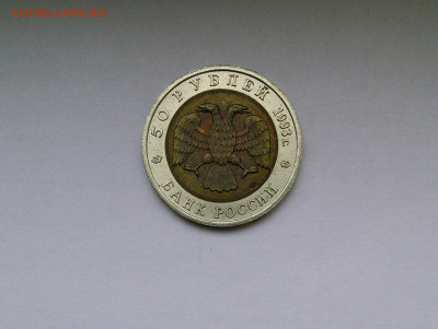 2022 в 22:00 - IMG_20220910_114044