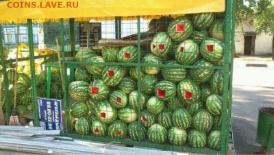 юмор - kHZoPflvibQ