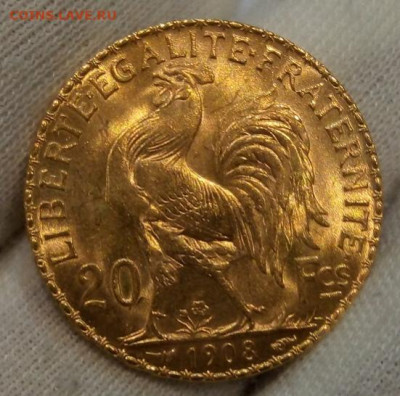 20 Франков 1908г яркий UNC до вечера 10.09.22 - IMG_20220909_193618