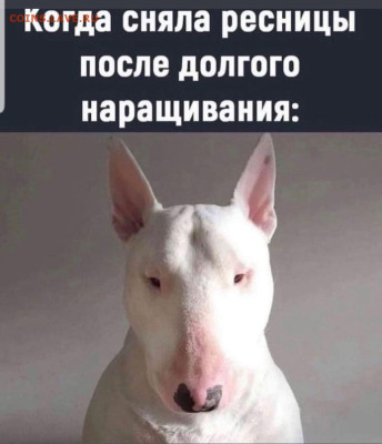 юмор - Screenshot_20220910-122342_Instagram