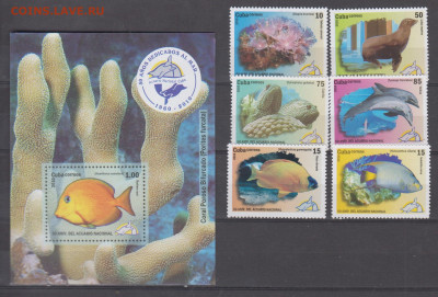 Куба 2010 фауна моря 6м+блок до 17 09 - 15а