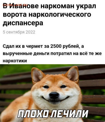 юмор - FD3ifk7W4hI