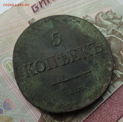 5 копеек 1831 года ем фх. До 18.09.22. - DSC01084.JPG