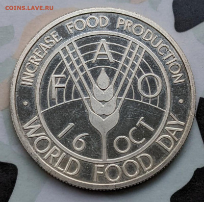 Бразилия Афганистан ФИКС до 16.09 - PXL_20220913_042734367.MP~2