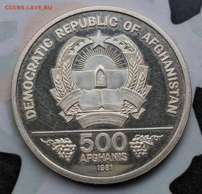 Бразилия Афганистан ФИКС до 16.09 - PXL_20220913_042717811~2