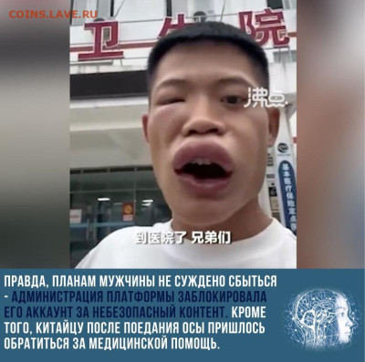 юмор - NqZ0fpKC_BU