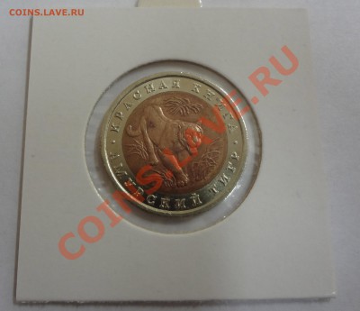 Красная книга 1992 Амурский тигр до 1.12.11 - тигр1