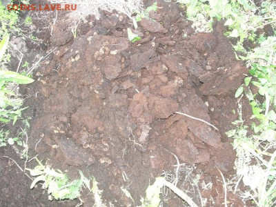 "Сокровища" одного старого огорода - перегной.2