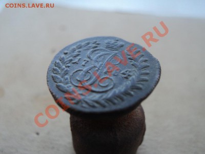 полушка 1784 км до 02.12.11 в 22.00 по мск. вр. - DSC01384.JPG
