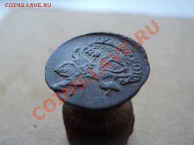полушка 1784 км до 02.12.11 в 22.00 по мск. вр. - DSC01386.JPG