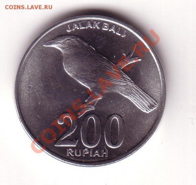 Индонезия 200 рупий до 30.11 22:00 - индонезия_3_2