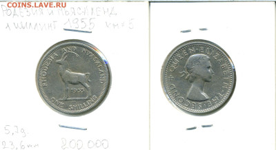 Родезия и Ньясаленд 1 шиллинг, 1955 - rod1sh1955