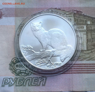 3 р.1995 г.Соболь до 25.09.22 - 51