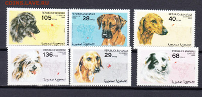 Сахара 1998 собаки 6м** до 27 09 - 46а