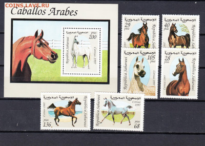Сахара 1997 кони 6м+блок ** до 27 09 - 46в