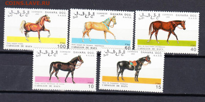 Сахара 1993 кони 5м** до 27 09 - 47а
