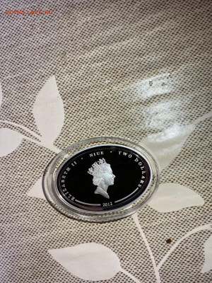 1 Доллар  НИУЭ 2012  Год дракона Year of the Dragon Овальная - DekdGN_65Rieh6mkwaainI--5KvTyEcwJI8XtAi8RqQyG_PKC3WkWvmAhABt8j-N_Z0nJYtr2GZG24tLsqxZtZDd