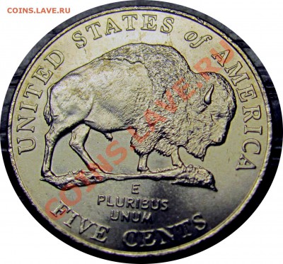 E45 5¢ США 2005p Buffalo Nickel до 04.12 в 22°° - E45 USA 5c 2005P_1