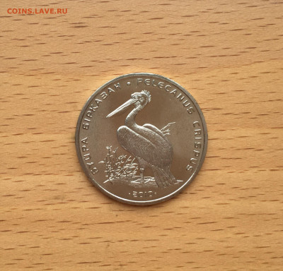 Казахстан 50 тенге 2010 Кудрявый пеликан Птица Фауна - IMG_0977.JPG