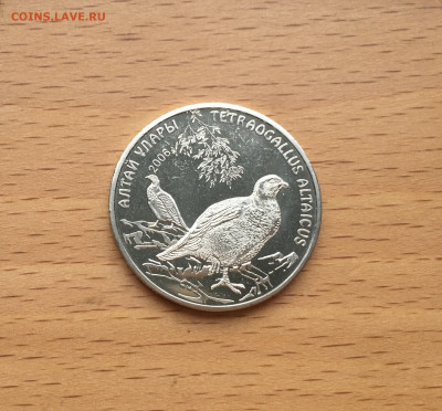 Казахстан 50 тенге 2006 Алтайский улар Птица Фауна - IMG_0972.JPG