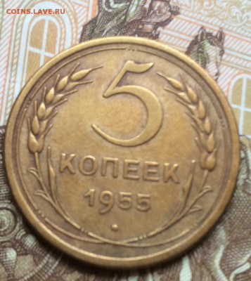 5 копеек 1955г года до 28.09.22г - IMG_1755.JPG