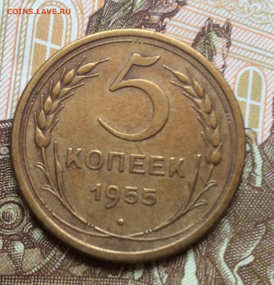 5 копеек 1955г года до 28.09.22г - IMG_1754.JPG