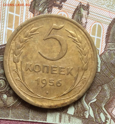 5 копеек 1956г года до 28.09.22г - IMG_1758.JPG