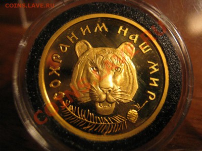 Красная книга - Амурский тигр 1996 - 76905.JPG