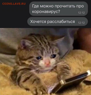 юмор - 17210812