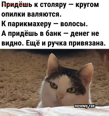 юмор - LZ57gkqIFeU