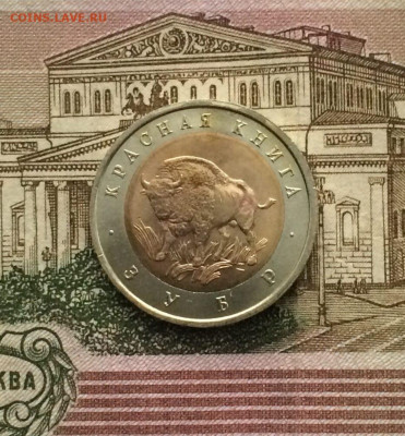 Красная книга 50 рублей 1994 г. Зубр. до 01.10. - 154