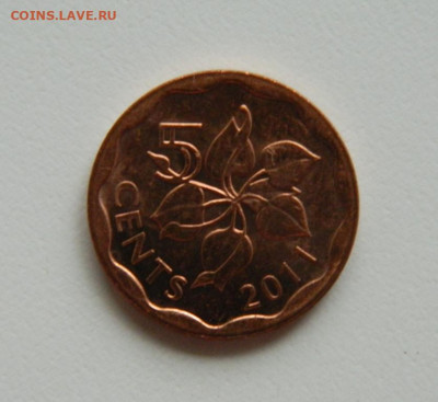 Свазиленд 5 центов 2011 г. до 03.10.22 - DSCN2771.JPG